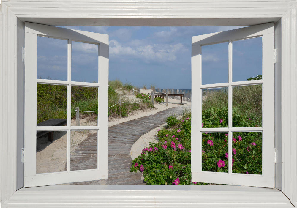 Window, Boardwalk & Roses