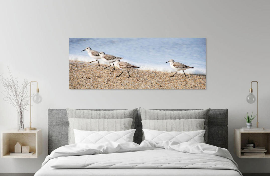 Sanderlings on the Beach Panorama room scene