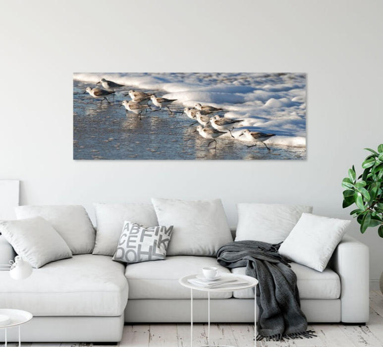 Sanderlings and the Wave Panorama room scene