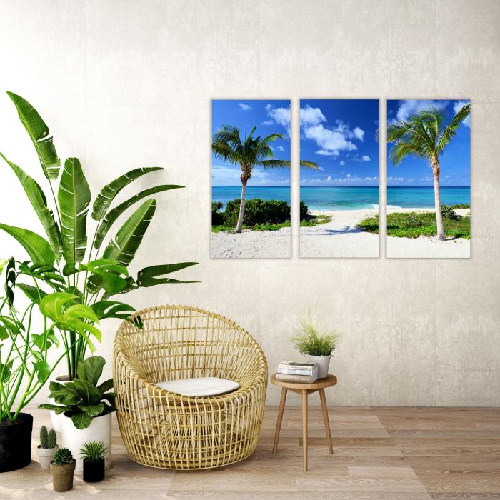 Tropical Palm Trees Triptych